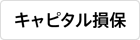 キャピタル損害保険会社